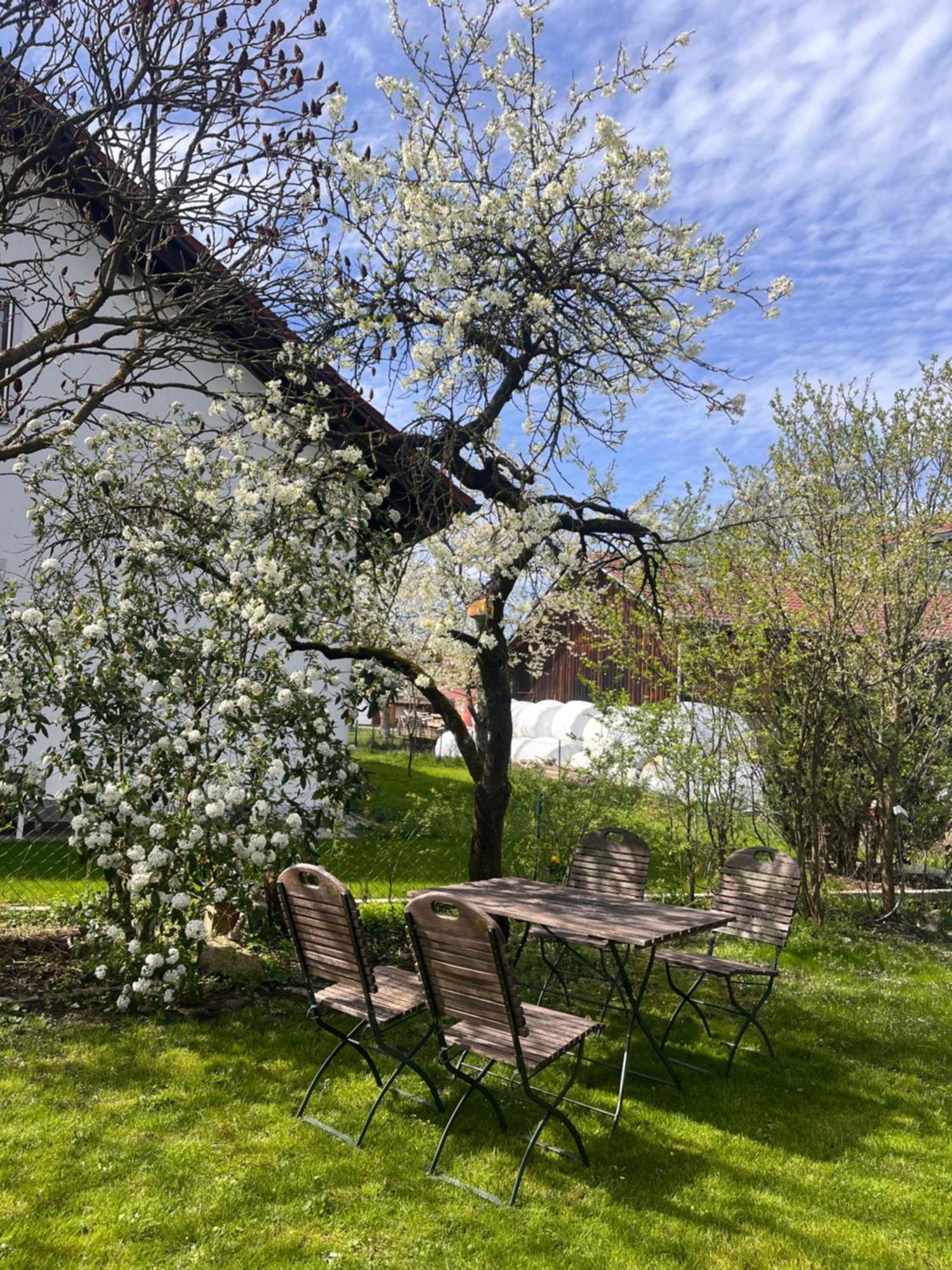 Zimmer Zum Wohlfuehlen Eching  Extérieur photo
